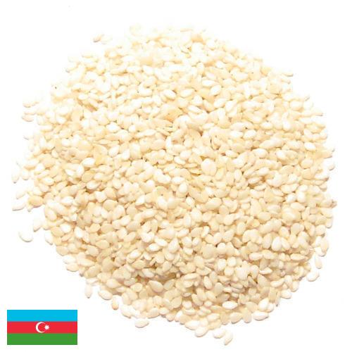 кунжут семена из Азербайджана