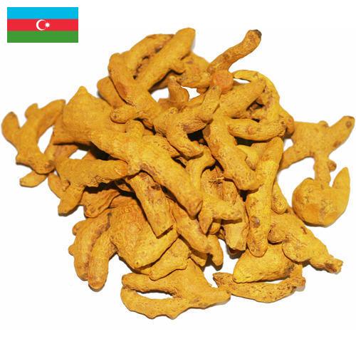 Куркума из Азербайджана