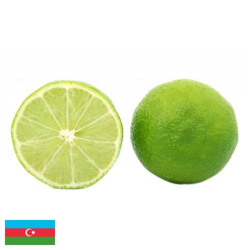 лайм из Азербайджана