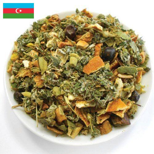 Лекарственные травы из Азербайджана
