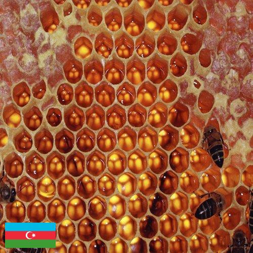 мед оборудование из Азербайджана