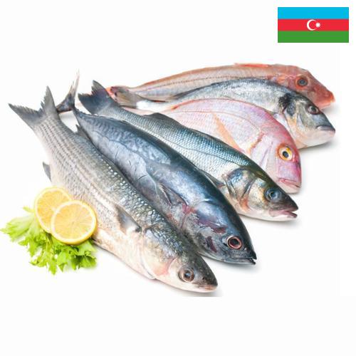 Морепродукты из Азербайджана