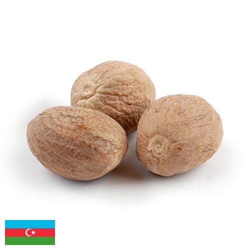 Мускатный орех из Азербайджана