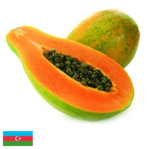 Папайя из Азербайджана