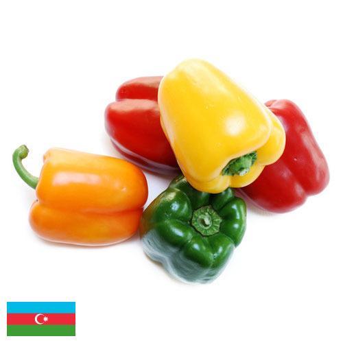 перец болгарский свежий из Азербайджана