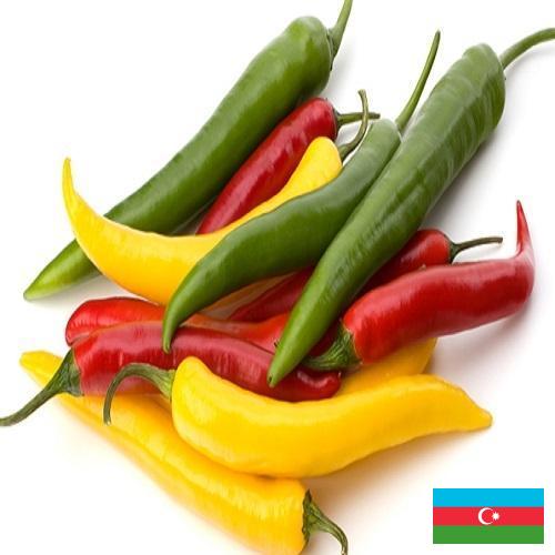 Перец чили из Азербайджана