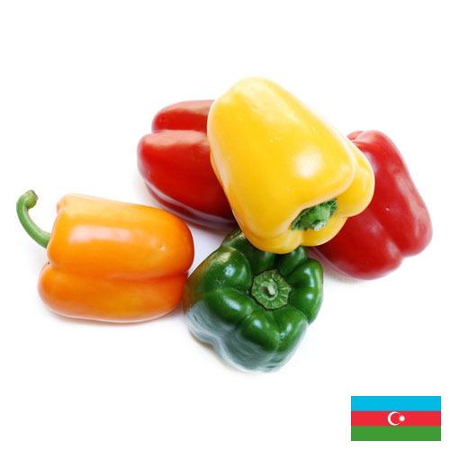 перец сладкий свежий из Азербайджана