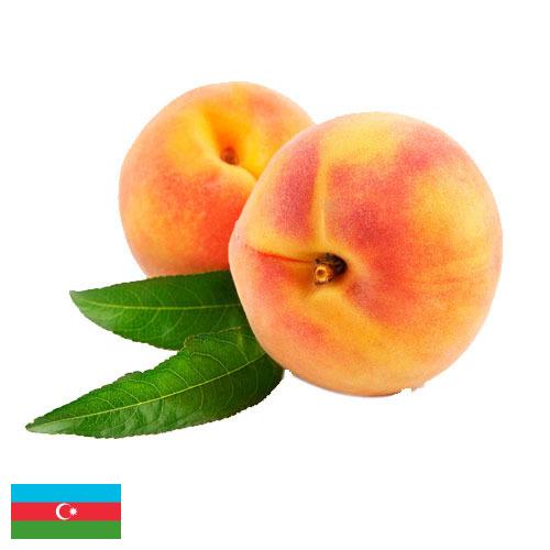 Персики из Азербайджана