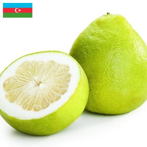 Помело из Азербайджана