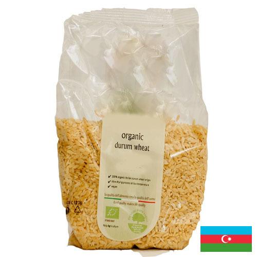пшеница твердая из Азербайджана