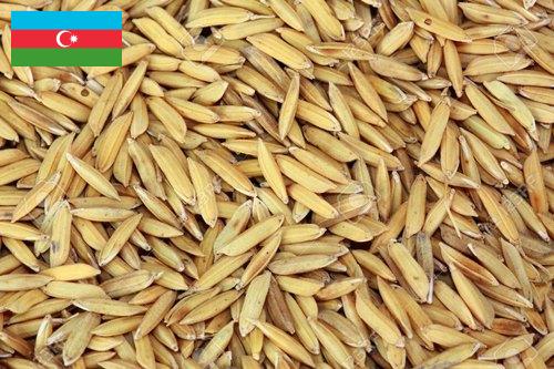 рис сырец из Азербайджана