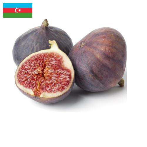 Рис из Азербайджана