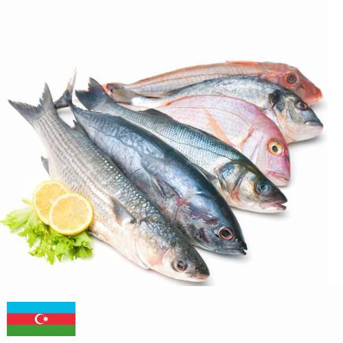 рыба и морепродукты из Азербайджана