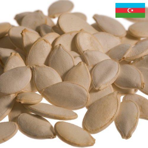Семечки тыквенные из Азербайджана
