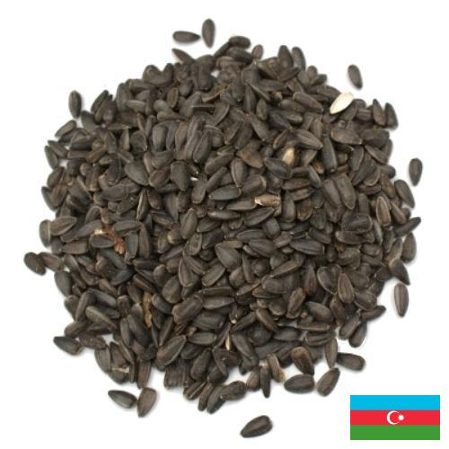 Семена цветов из Азербайджана