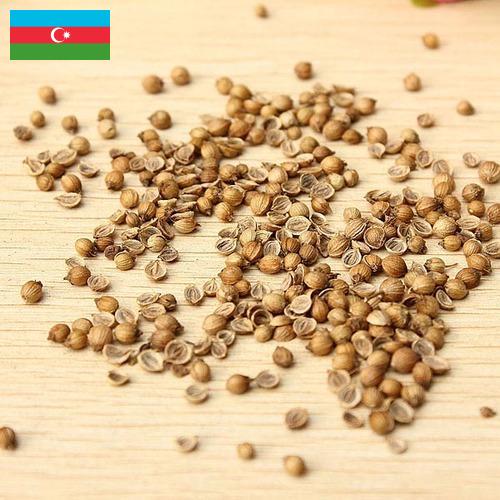 Семена овощей из Азербайджана