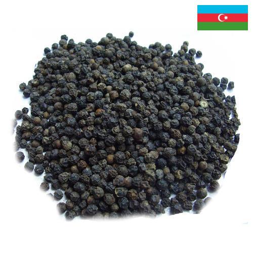Семена перца из Азербайджана