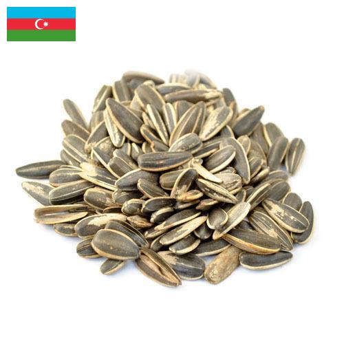 Семена подсолнечника из Азербайджана