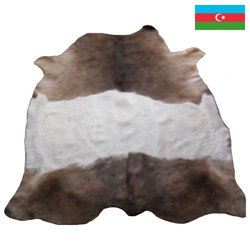 Шкуры крупного рогатого скота из Азербайджана