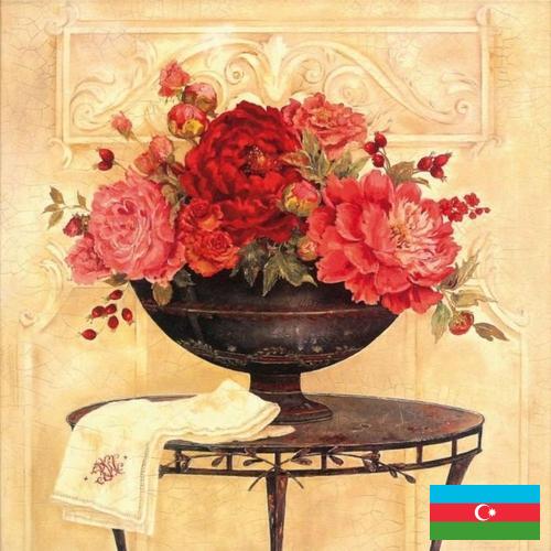 Шторы декоративные из Азербайджана