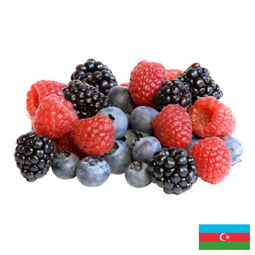 сублимированные ягоды из Азербайджана