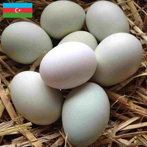 субпродукты птицы из Азербайджана