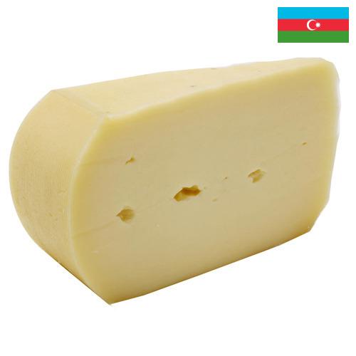 Сыры полутвёрдые из Азербайджана