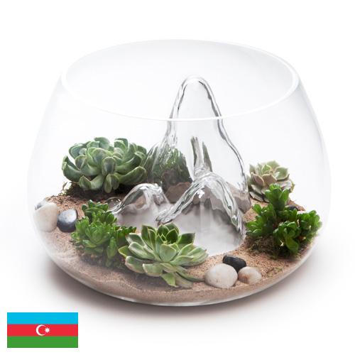 Террариумы из Азербайджана