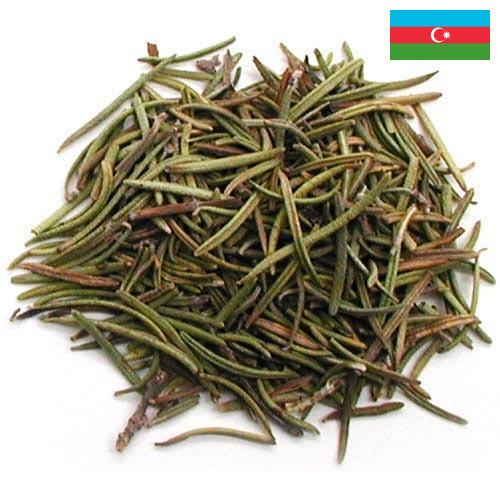 Травы сушеные из Азербайджана