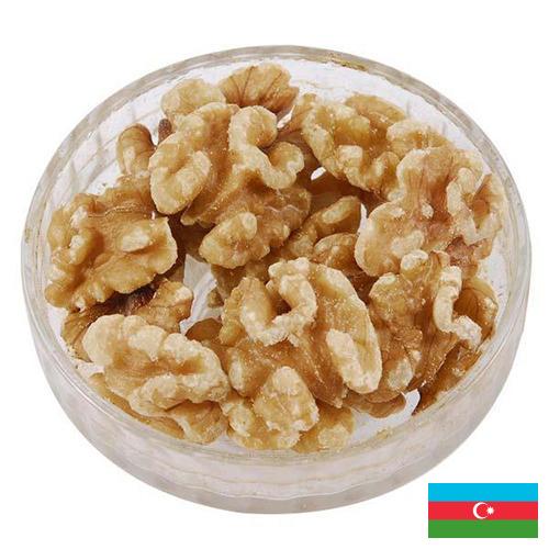 Ядра орехов из Азербайджана