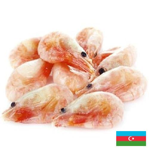 замороженные креветки из Азербайджана