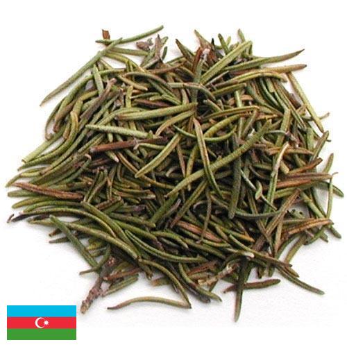 зелень сушеная из Азербайджана