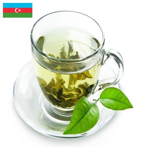 Зеленый чай из Азербайджана