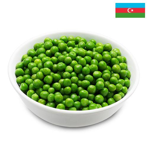 Зеленый горошек из Азербайджана