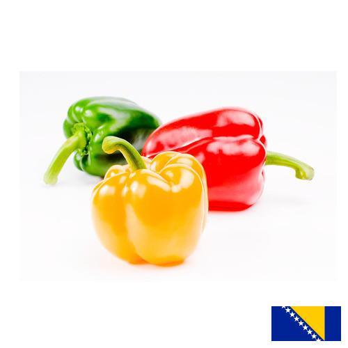 Перец сладкий из Боснии И Герцеговины