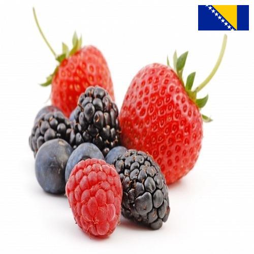 Ягоды из Боснии И Герцеговины