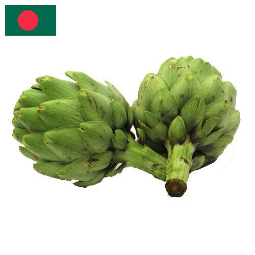 артишок из Бангладеша