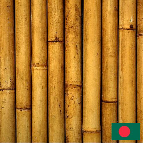 Бамбук из Бангладеша
