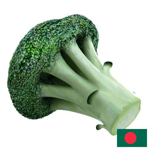 брокколи из Бангладеша