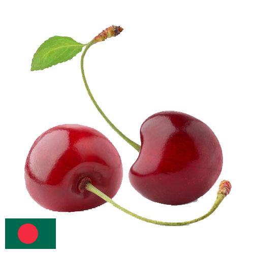 Черешня из Бангладеша