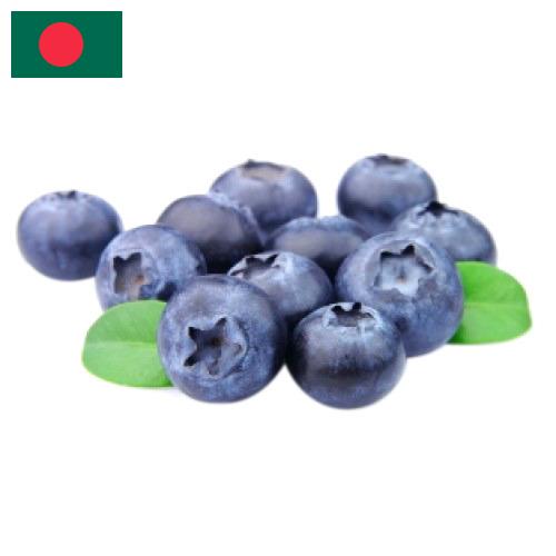 Черника из Бангладеша