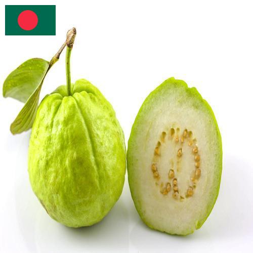 Гуава из Бангладеша