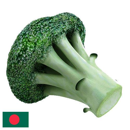 Капуста брокколи из Бангладеша