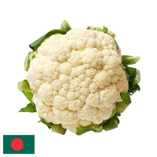 Капуста цветная из Бангладеша