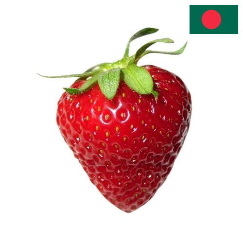 Клубника из Бангладеша