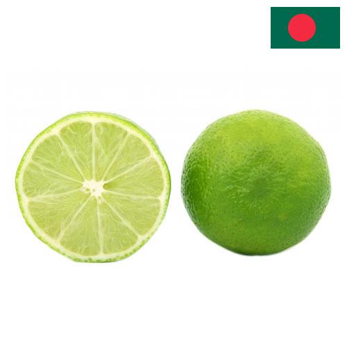лайм из Бангладеша