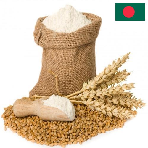 мука пшеничная высший из Бангладеша