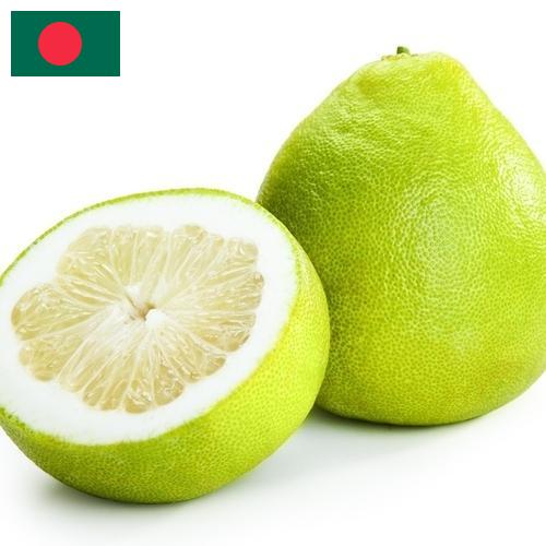 Помело из Бангладеша