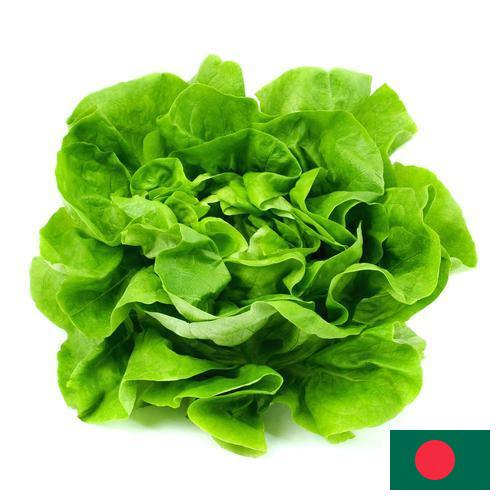 салат из Бангладеша