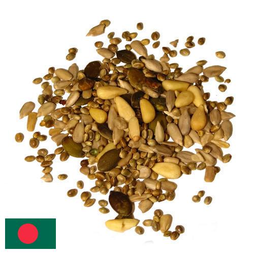 Семена из Бангладеша